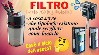 Il filtro dellacquario  trucchi e suggerimenti [upl. by Wack40]