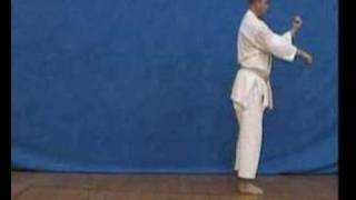 Heian sandan shotokan kata Linden Huckle [upl. by Aramahs]