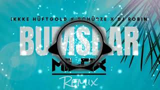 Ikke Hüftgold x DJ Robin x Schürze  Bumsbar Milox Remix [upl. by Suoirtemed]