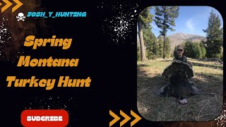 Montana Turkey Success hunting montana turkeyhunting [upl. by Pournaras]