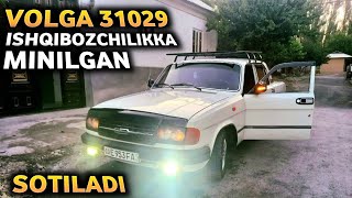 Volga 31029 zo‘ri chiqdi sotiladi Ishqibozchilikka minilgan aravasi xam bor [upl. by Ojytteb]