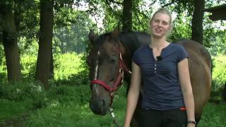 YoungFarmerTV Folge 6 Junglandwirtin Laura [upl. by Aline65]