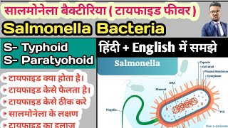 Salmonella Bacteria  Typhoid  Enteric Fever Typhoid Fever Paratyphoid Fever Widal Test in hindi [upl. by Amara555]