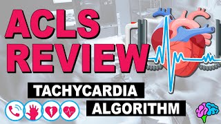 Tachycardia Algorithm  ACLS Review [upl. by Johann]