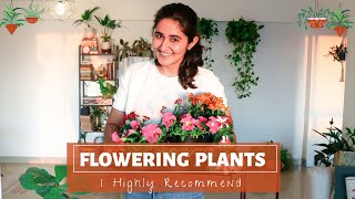 Best Flowering Plants for Indoors and Outdoors amp their complete care [upl. by Roderick]