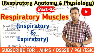 Muscles of respiration  Inspiration amp Expiration🔥 Anatomy amp Physiology part02 🔥norcet [upl. by Tengdin185]