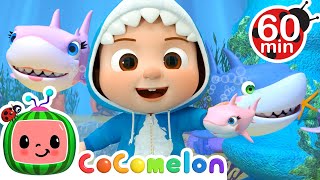 Baby Shark Song  Cocomelon  Best Animal Videos for Kids  Kids Songs and Nursery Rhymes [upl. by Aineval]