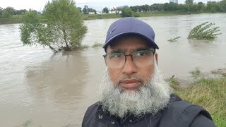 Hochwasser  Donauinsel  Floridsdorfer Brücke  Wien Österreich [upl. by Naeerb]