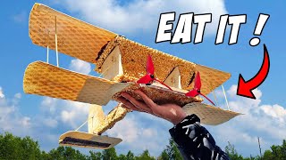 Can airplanes made of Food FLY [upl. by Nonnaehr]