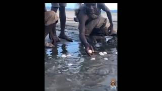 Some where in Africa how they cook eggs in river cool have you seen this before 😱😱 [upl. by Singh]