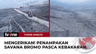 Menghitam dan Gersang Begini Penampakan Bromo Pasca Kebakaran  tvOne Minute [upl. by Rehctelf83]