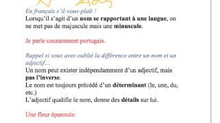 Orthographe des noms et adjectifs de nationalité en français  FLE [upl. by Emaj536]