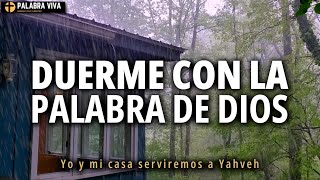 Palabra de Dios para dormir  Lluvia relajante  10 hrs [upl. by Llerrac693]