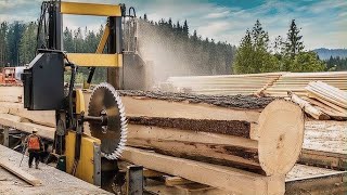 Extreme Sawmill Live Power Precision and Adrenaline [upl. by Enahpets]