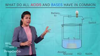 Acids Bases and Salts  7  What do all acids and all bases have in common  CBSE Class 10 [upl. by Suirtimed]