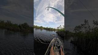 Catching a Backwater Redfish on Topwater [upl. by Kramer973]