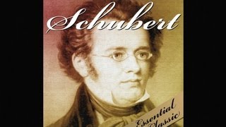 The Best of Schubert [upl. by Steffy387]