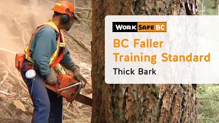 BC Faller Training Standard  Thick Bark 7 of 17 [upl. by Liryc]