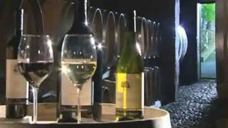 I Vini dei Colli Orientali del Friuli Venezia Giulia  Documentario [upl. by Liakim456]