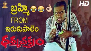 Brahmanandam amp AVS Super Comedy Scenes  Dharma Chakram Telugu Movie  SP Shorts [upl. by Cissie]