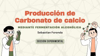 Fermentación alcohólica [upl. by Nahtahoj4]