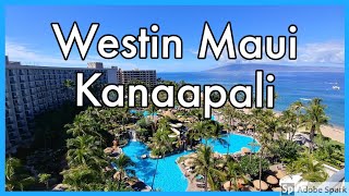 Westin Maui Resort and Spa Kaanapali [upl. by Eneleahcim734]