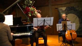 Beethoven piano trio no1 adajio [upl. by Nyledam]