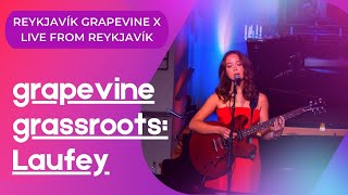 Grapevine Grassroots Laufey Live From Reykjavík [upl. by Nodnnarb]