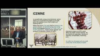 Production Condition of Ice Wine  Masterclass with Inniskillin  Napa Valley Wine Academy [upl. by Redep]