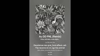 Au DD PNL Remix [upl. by Jardena]