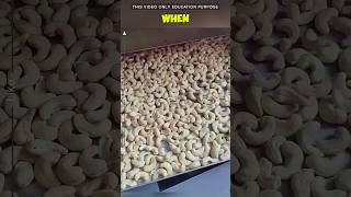 how are these cashews actually prepared cashew viralvideo shorts [upl. by Inavoj]