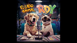 AVANCE PROGRAMA NRO 8quotEL LADO ANIMALquot radio perros gatos animales perro tvmascotas [upl. by Nehte]