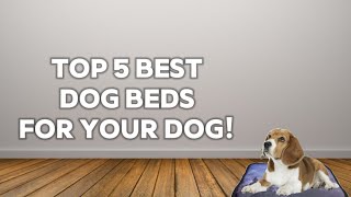 Top five best dog beds for your dog ￼ [upl. by Itsur]