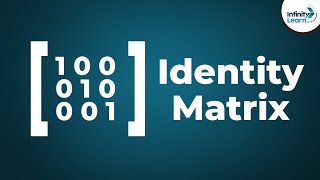 Identity Matrix  Unit Matrix  Dont Memorise [upl. by Holna630]