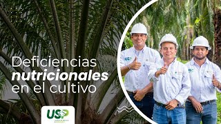 Deficiencias nutricionales en el cultivo  USP [upl. by Nazler363]