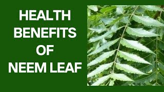 Neem Leaves Health Benefits [upl. by Amliw276]