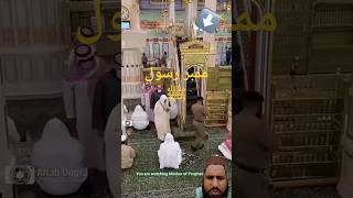 Riaz Ul jannah Madina Masjid Nabawi History amp Ziyarat shorts masjidnabawi madina youtubeshorts [upl. by Beltran448]