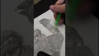 Odin Huginn and Muninn youtubeshorts youtubeartist art drawing odin huginnandmuninn [upl. by Emse]