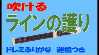 ラインの護り アルトリコーダー ドレミ運指つき [upl. by Goodspeed]