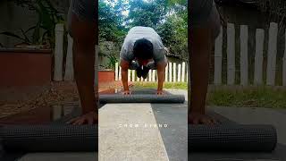 DAY 48100 of Learning calisthenics from scratch [upl. by Namyl]