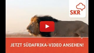 7 Gründe für Ihre Südafrika Reise [upl. by Houser]