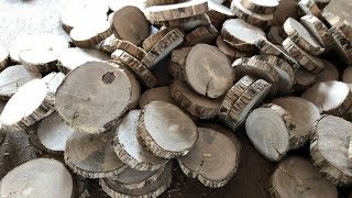 How to Make Wood Slices for Crafts Small Branches [upl. by Anaidni449]