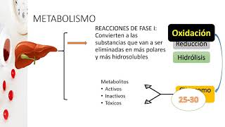 1 4 FARMACOCINÉTICA METABOLISMO [upl. by Shifrah943]