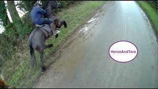 Friesian Horse being a bit naughty with his beginner rider [upl. by Ludlow]