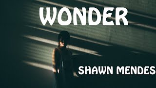 Shawn Mendes  Wonder Lyrics [upl. by Ojok15]