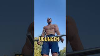 Calisthenics Anfänger Übungen [upl. by Aroel]