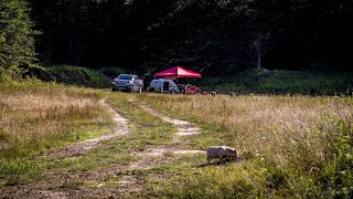 Allegheny National Forest Boondocking FR187 [upl. by Liborio]