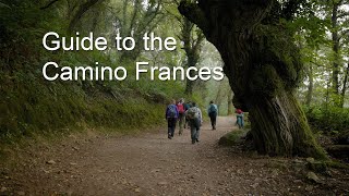 Day 33 Camino de Santiago—Sarria to Portomarin [upl. by Liba]