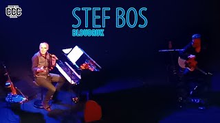 Stef Bos Bloudruk Theatertour 2024 Compilatie [upl. by Jen778]