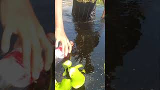 Best river fishing hook fishing 2024 shorts shortsvideo fish [upl. by Bergerac]